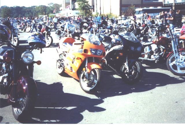 Image3.jpg (68939 bytes)